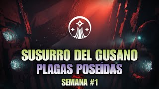 Susurro del Gusano Plagas Poseídas  Semana 1  destiny2 bungiecreator [upl. by Clay130]