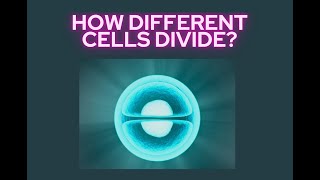 Mitosis and Meiosis  Cell Division in Living Things [upl. by Atterg]