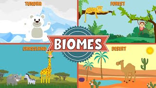 Biomes of the World  Types of Biomes  Video for Kids [upl. by Mapel]