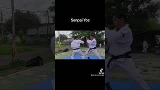 Shorinji Kempo [upl. by Amolap]