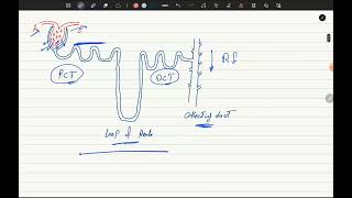 Antidiabetic Drugs P1 [upl. by Bowne]