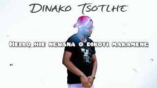 Ntate Elmo  Dinako Tsotlhe ft Ubuntu Band Official lyrics [upl. by Phail]