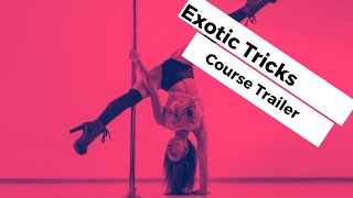 Exotic Tricks Pole Academy Sweden [upl. by Refotsirk841]