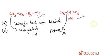 1propanol and 2propanol can be best distinguished by [upl. by Enaid]