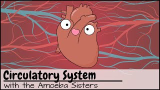 Atherosclerosis  Circulatory System and Disease  NCLEXRN  Khan Academy [upl. by Aissert]