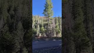 Kooskia Idaho huntinghunting mountains [upl. by Keily]