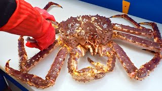 Special skill！Giant King Crab cutting Master Luxurious sashimi Crab fried rice巨大帝王蟹切割大師奢華蟹腳蟹膏炒飯 [upl. by Ashli]