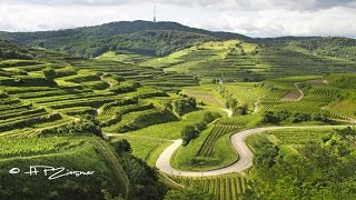 Kaiserstuhl im Sommer  Farben eines Jahres  Teil 2 [upl. by Thomasin]