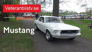 Mustang Tema på Huskvarna Folkets Park 2024 [upl. by Enwad147]