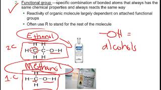 Organic Molecules of Life Overview [upl. by Nuris]