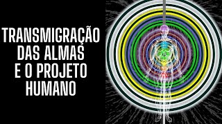 70  Transmigração das Almas e o Projeto humano Produzir cultura [upl. by Htebyram]