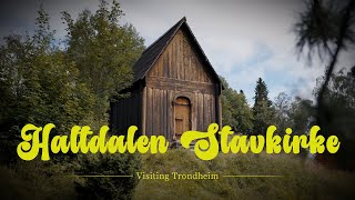 Visiting Trondheim to see a Stave Church  Haltdalen Stavkirke amp Nidaros [upl. by Dixon524]