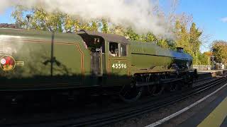 45596 Bahamas Steam Train  Special Armistice Day 11112023  Hammering through Teynham Station [upl. by Ahsoik467]