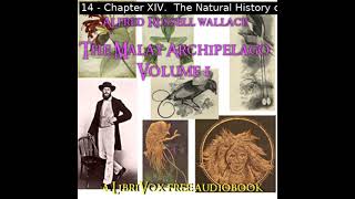 The Malay Archipelago Volume 1 by Alfred Russel Wallace Part 22  Full Audio Book [upl. by Lleroj]