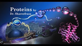 Biology for Engineers Module 1 Proteins [upl. by Ariat419]