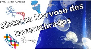 Aula de Sistema Nervoso dos Invertebrados [upl. by Deb64]