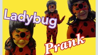 LADYBUG KOSTÜM Überraschung für Dafina  PRANK 😂 [upl. by Yared]