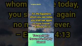 Exodus 1413  Trust Gods Promise  Inspirational Bible Short shorts shortsfeed [upl. by Ferris]