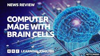 Computer made with brain cells BBC News Review [upl. by Antsirhc]