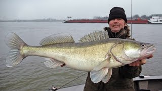 Robbert op de Lek snoekbaars 965 cm [upl. by Avie]