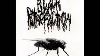 Black Putrefaction  Putrescine Butyric Fermentation II  split w Sewercunt FULLALBUM [upl. by Ujawernalo]