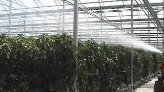 TracFOG PTO Driven Fogger treating Greenhouse Peppers [upl. by Sheila243]