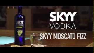 Easy Mix Cocktail Recipe HOW TO MIX quotSKYY MOSCATO FIZZquot Skyy Vodka Infusions [upl. by Marigolda]