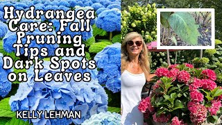 Hydrangea Care Fall Pruning Tips and Dark Spots on Leaves  Expert Advice by Kelly Lehman [upl. by Nylassej]