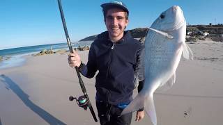 SUNRISE BEACH FISHING SNAPPER WHITING HERRING Pan Fried for Dinner [upl. by Simpkins]