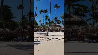 🇩🇴 Catalonia Bavaro Beach Punta Cana Dominican Rep 🌴playa bavaro bachata beachhotel resort [upl. by Bertina]