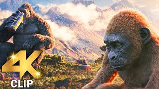 Kong Eats Breakfast With Suko Scene  GODZILLA X KONG THE NEW EMPIRE 2024 Movie CLIP 4K [upl. by Aeneus]