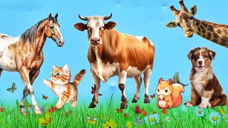 Cute little animals  Dog cat chickenelephant cow duck parrots  Animal sounds for sleep [upl. by Ener]