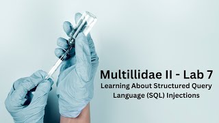 Mutillidae II  Lab 7 [upl. by Assiralk]