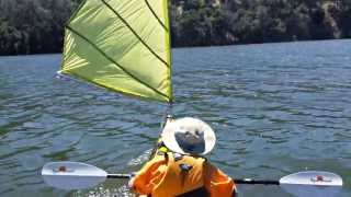 Kayak Sailing with Home made DIY Sail upwind capable  Del Valle [upl. by Novad11]