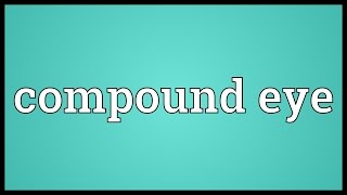 Compound eye Meaning [upl. by Edmonds]