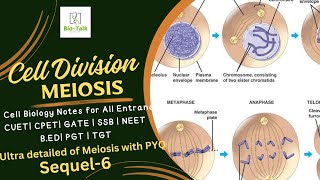 Cell cycle and Cell Division  Meiosis  Cell Biology Sequel6  CUET CPET SSB BEd GATE  NEET [upl. by Mackie]