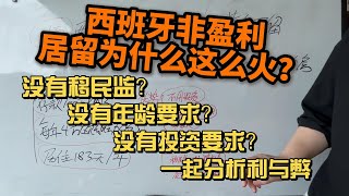 西班牙非盈利，黄金居留为什么这么火？没有移民监？没有年龄要求？没有投资要求？今天我们来分析一下利弊 [upl. by Perceval950]