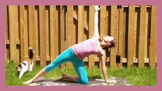 Yoga Flow for Beginners  30 min Total Body Workout for Beginners with cats [upl. by Nivrem]