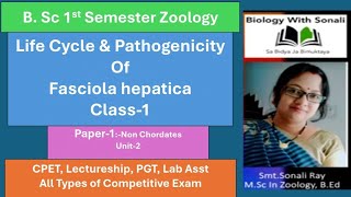 Life Cycle amp Pathogenicity Of Fasciola hepatica  BSc 1st Sem  liverflukes biologywithsonali [upl. by Xuaeb]