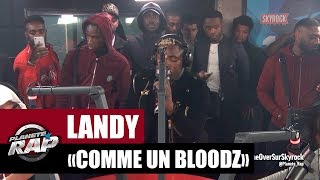 Landy quotComme un bloodzquot PlanèteRap [upl. by Norene]