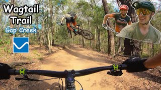 Riding a Blue Trail FAST with New Features Ft Ben Forbes  Gap Creek Brisbane [upl. by Leba88]