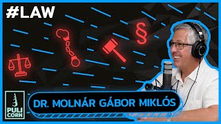 Hogyan alakult ki a MAI BÜNTETŐJOG  Dr Molnár Gábor Miklós Pulicorn Podcast [upl. by Mulligan]