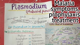 plasmodium vivax full notes  2 [upl. by Elacsap532]