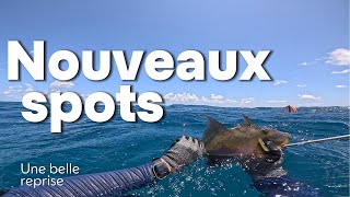 JE DÉCOUVRE DE NOUVEAUX SPOTS chasse sous marine été 2024 chassesousmarine fishing pecheur [upl. by Trembly]