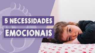 5 Necessidades emocionais fundamentais [upl. by Ahsiekrats]