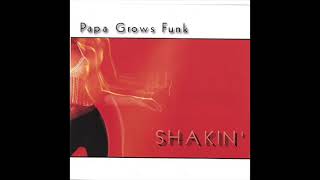 Papa Grows Funk – Big Wind [upl. by Becht476]