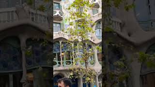 Casa Batlló in Barcelona [upl. by Uella]