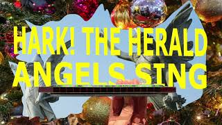 How to Play Hark the Herald Angels Sing on a Tremolo Harmonica with 16 Holes [upl. by Naillik287]