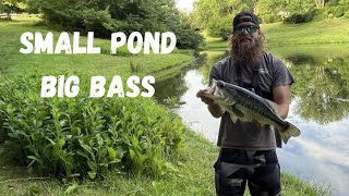 FISHING FARM PONDS FOR GIANT BASS [upl. by Acinok]