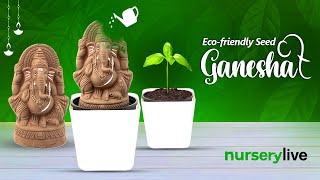 Ecofriendly Seed Ganesha  nurserylive [upl. by Atiken240]